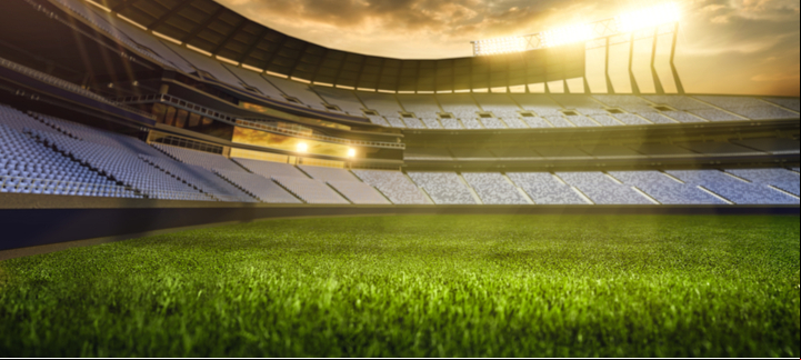 Cricket field and sunshine