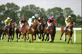 Horse Race