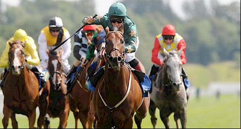 horse racing betting app india